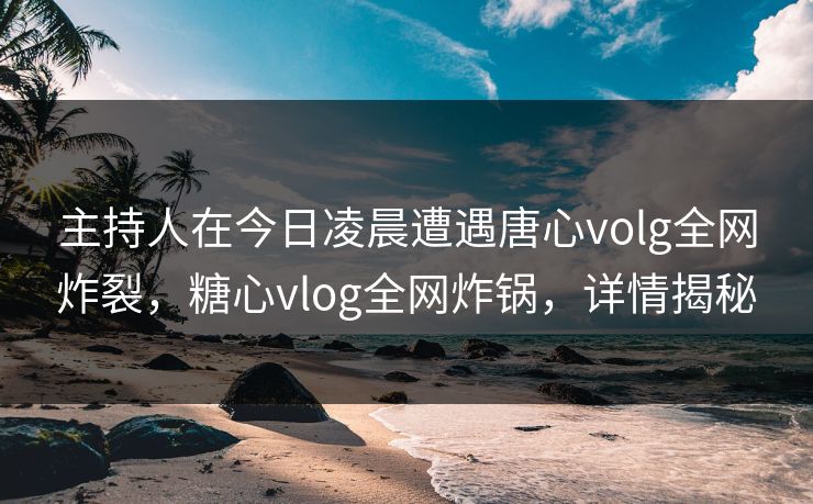 主持人在今日凌晨遭遇唐心volg全网炸裂，糖心vlog全网炸锅，详情揭秘