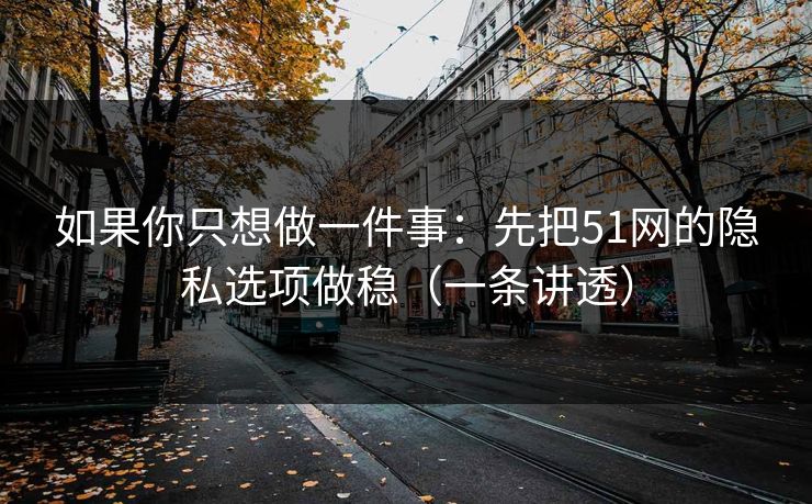 如果你只想做一件事：先把51网的隐私选项做稳（一条讲透）