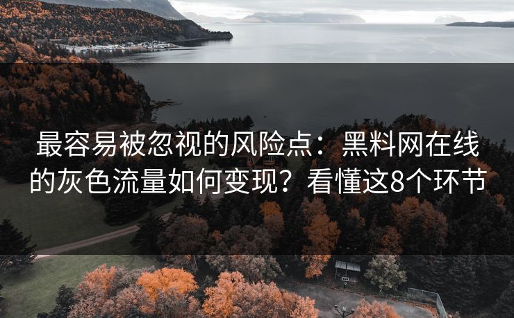 最容易被忽视的风险点：黑料网在线的灰色流量如何变现？看懂这8个环节